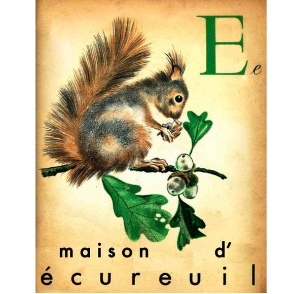 maisondecureil